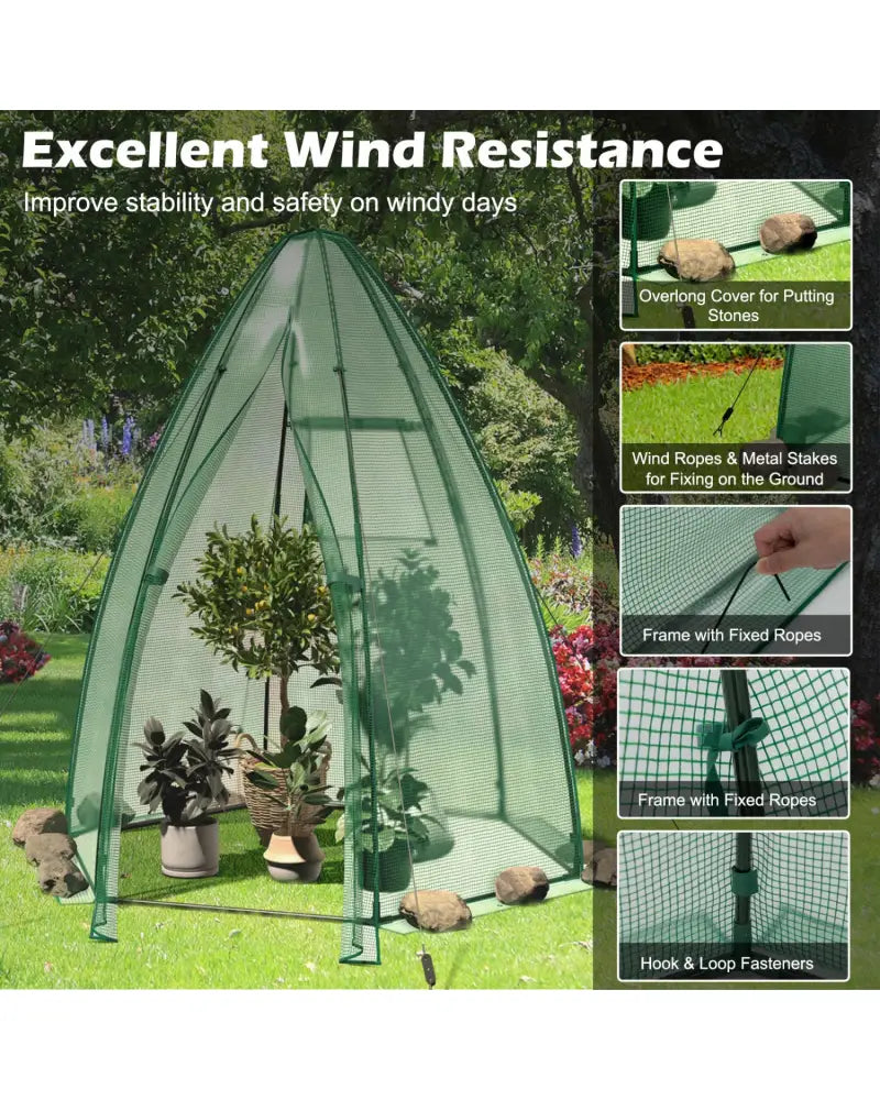 5.5 x 5.5 x 6 Feet Portable Mini Greenhouse with All-Weather PE Cover - Green - Greenhouses