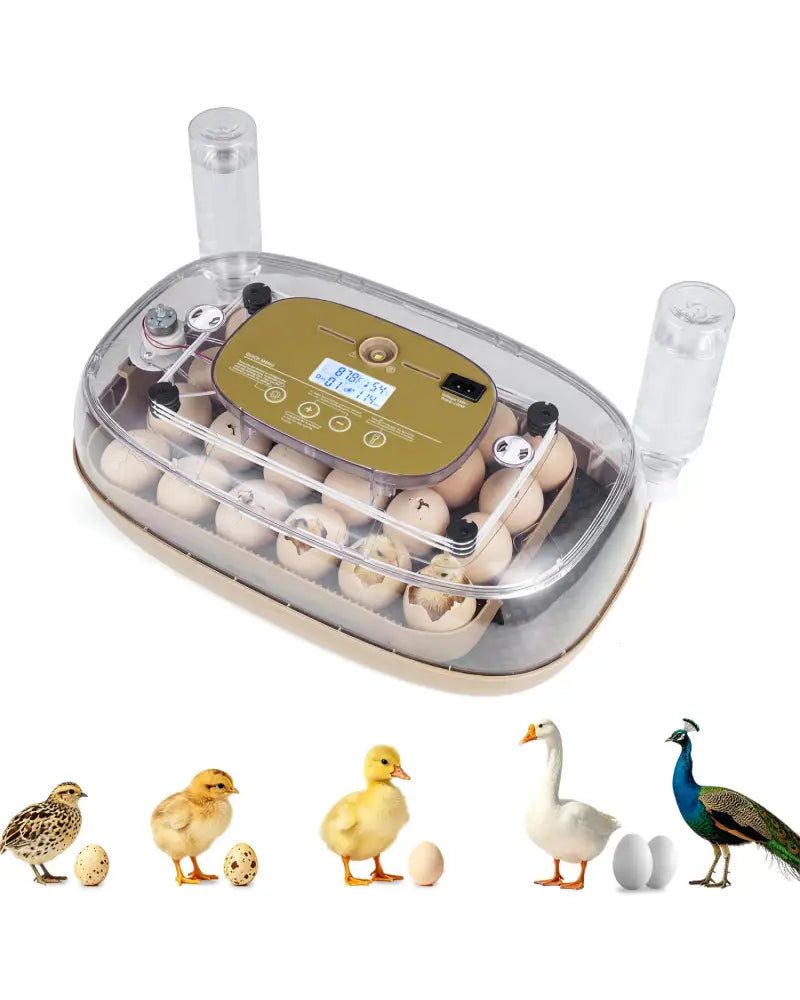 Egg Incubator with Temp and Humidity Control - Chicken Coops