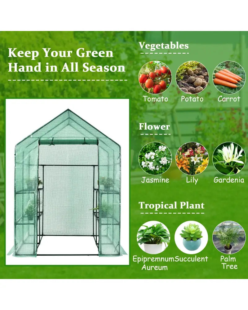Walk-in Greenhouse 56 x 56 x 77 Inch Gardening with Observation Windows - Green - Greenhouses