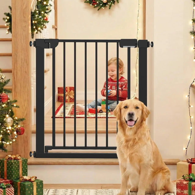 Pet Collection - Oasis Home Essentials 