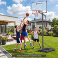 10 Feet Portable Basketball Hoop Outdoor for Adults - Black - Sport Equipments