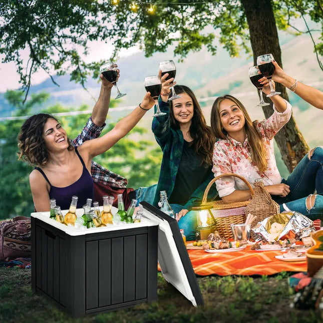 10 Gallon Storage Cooler for Picnic and Outdoor Activities-Black - Black - Coolers