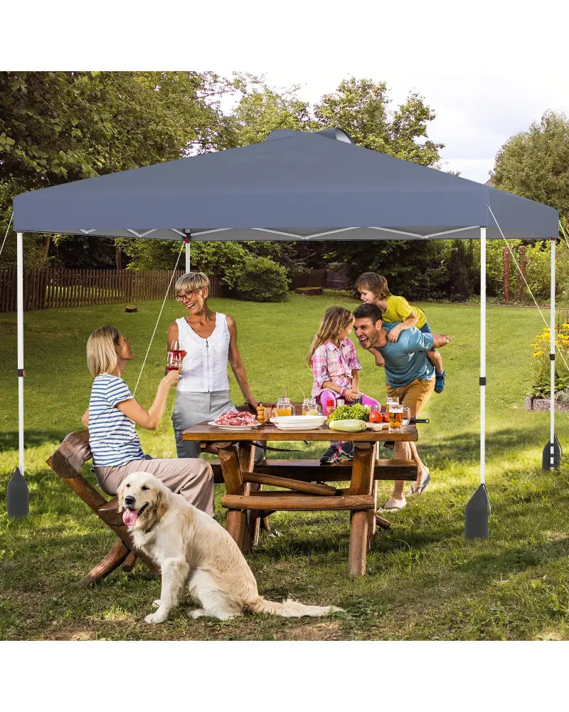 10 X 10 FT Pop up Canopy Tent with 1 Sidewall and Wheeled Bag-Gray - Gray - Canopies