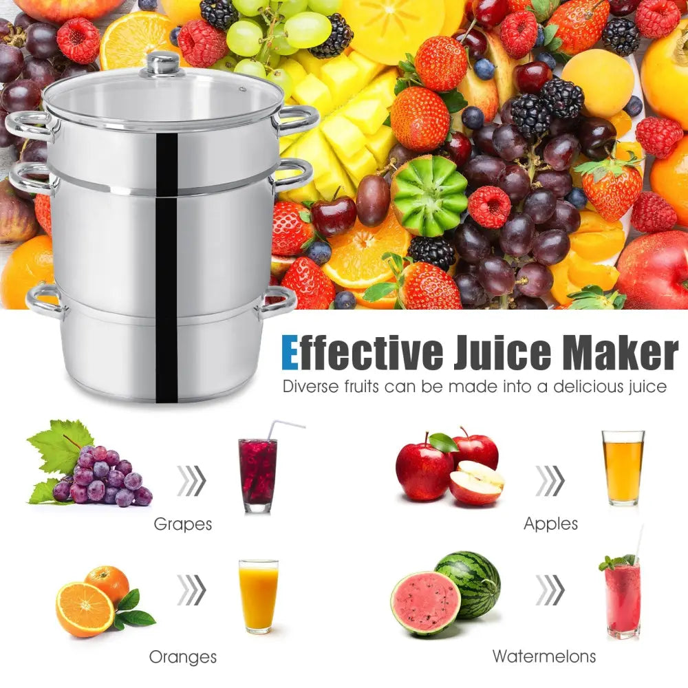 11-Quart Stainless Steel Fruit Juicer Steamer - Silver - Cookware & Bakeware
