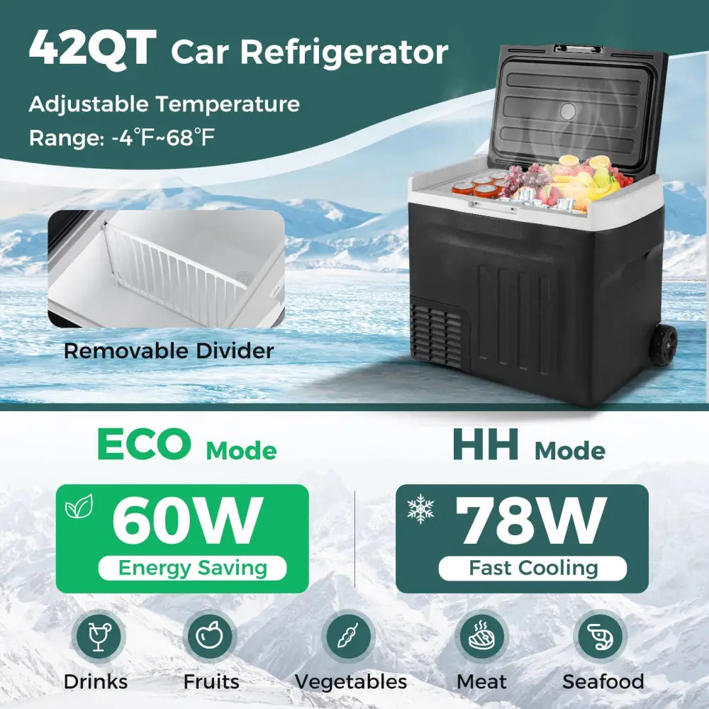 12V Car Refrigerator 42QT with Touch Panel and Removable Divider-L - Black - Coolers
