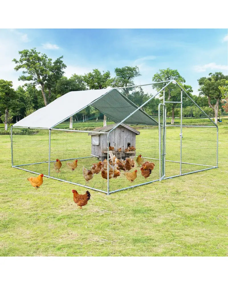 13 x 13 Feet Walk-in Chicken Coop with Waterproof Cover for Outdoor Backyard Farm - White - Chicken Coops