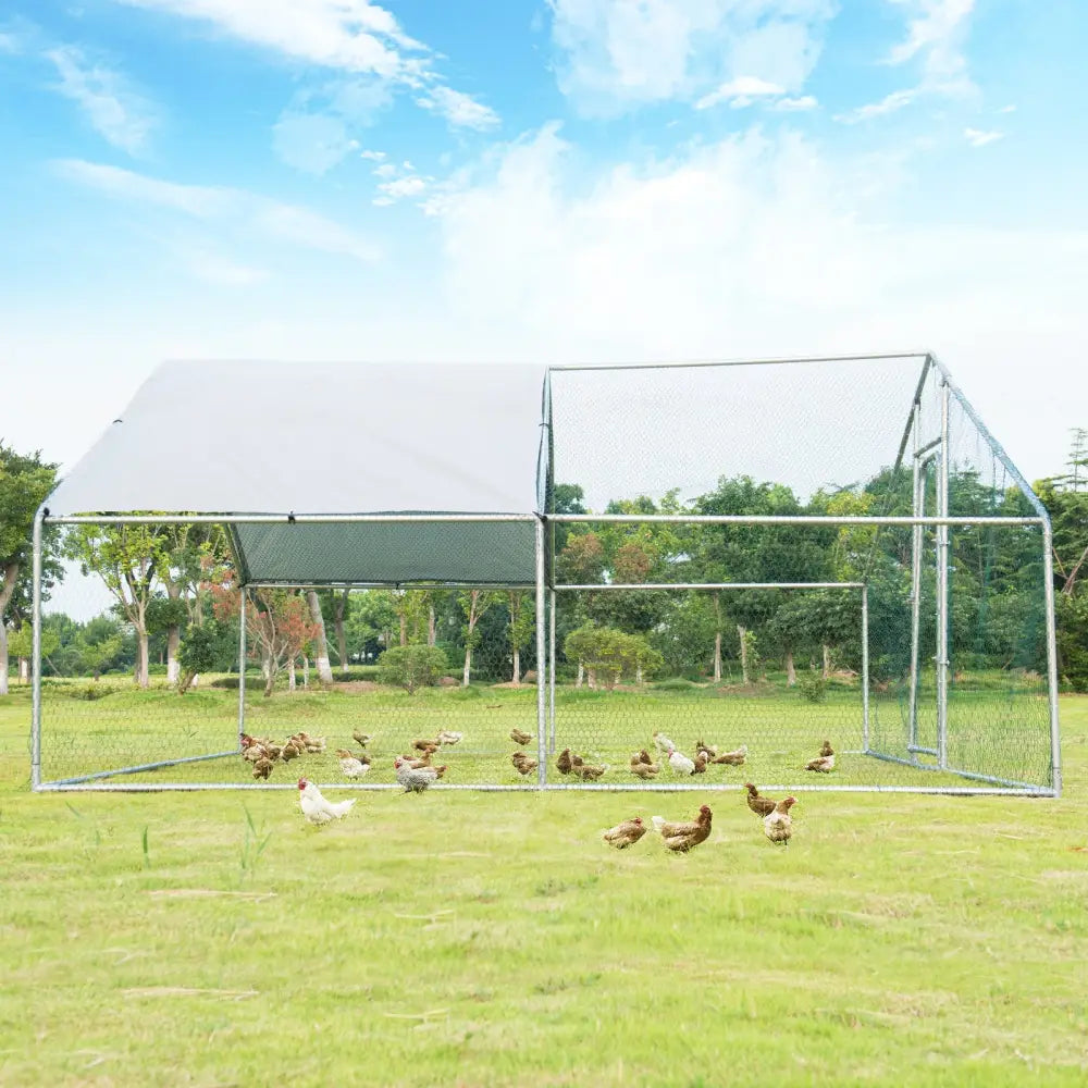 13 x 13 Feet Walk-in Chicken Coop with Waterproof Cover for Outdoor Backyard Farm - White - Chicken Coops