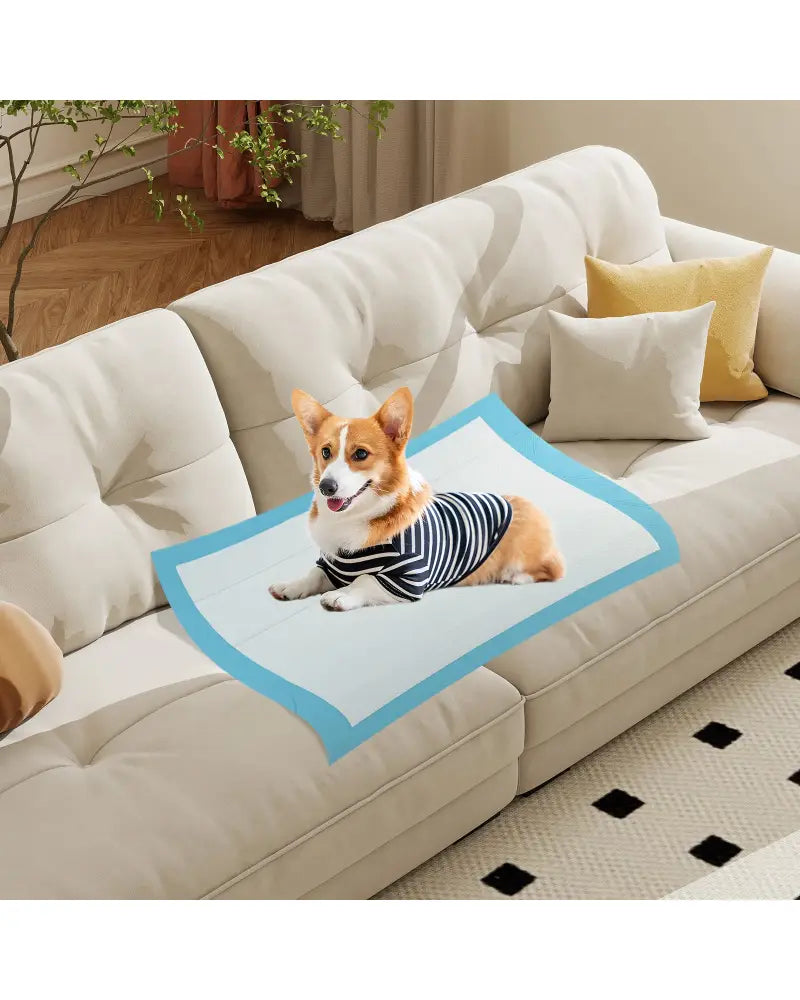 150 Pieces 24 x 36 Inch Pet Wee Pee Piddle Pad-S - Light Blue - Dog Supplies