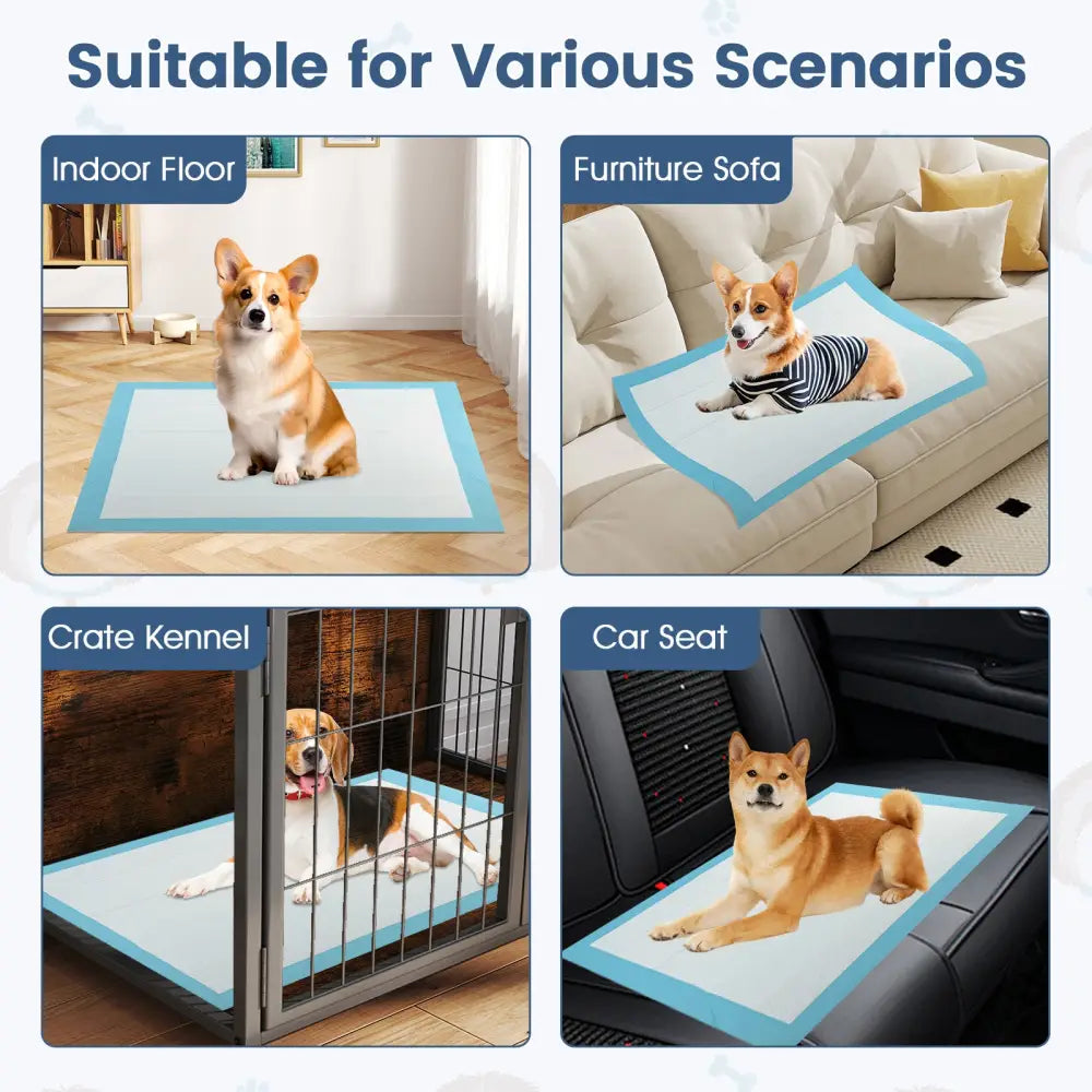150 Pieces 24 x 36 Inch Pet Wee Pee Piddle Pad-S - Light Blue - Dog Supplies