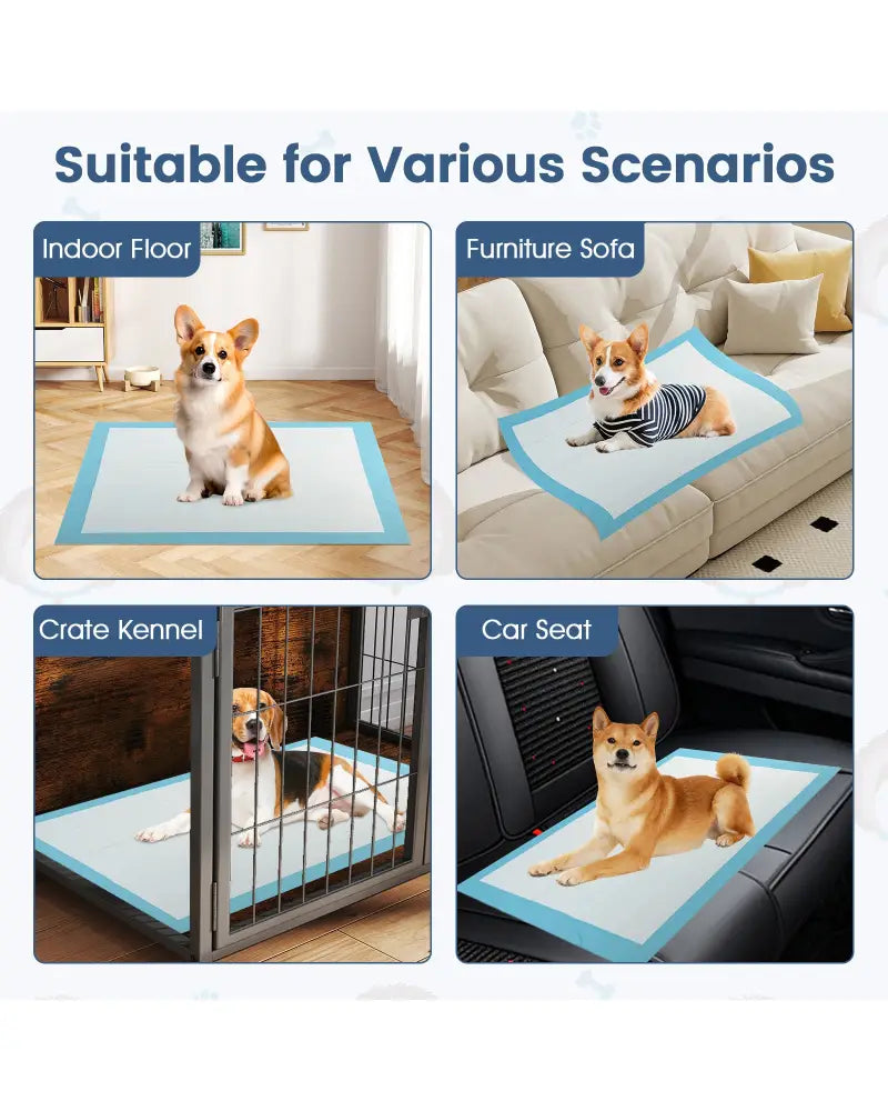 150 Pieces 24 x 36 Inch Pet Wee Pee Piddle Pad-S - Light Blue - Dog Supplies