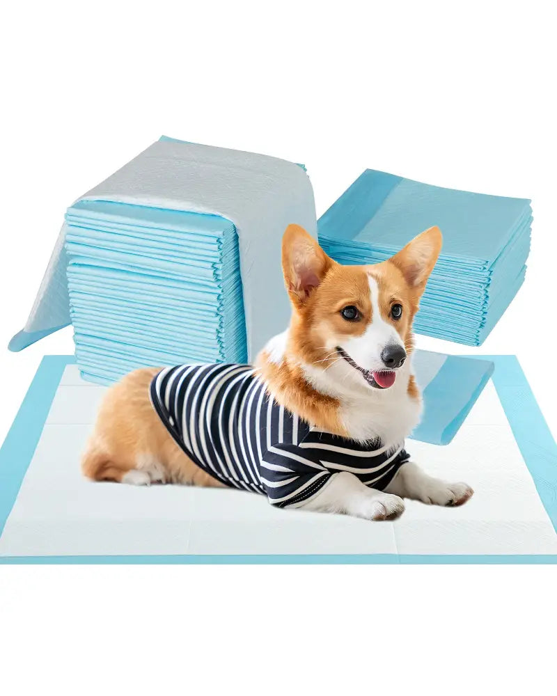 150 Pieces 24 x 36 Inch Pet Wee Pee Piddle Pad-S - Light Blue - Dog Supplies