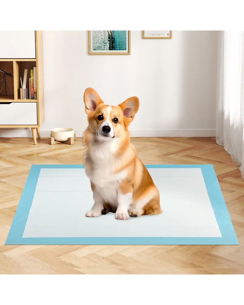 150 Pieces 24 x 36 Inch Pet Wee Pee Piddle Pad-S - Light Blue - Dog Supplies