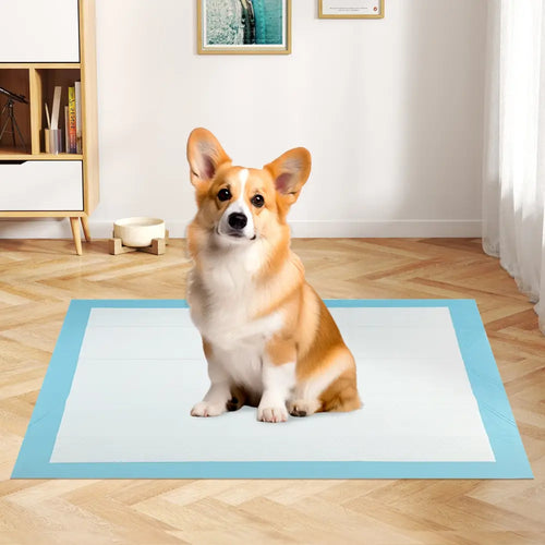 150 Pieces 24 x 36 Inch Pet Wee Pee Piddle Pad-S - Light Blue - Dog Supplies