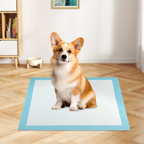 150 pieces 30 x 30 Inch Pet Wee Pee Piddle Pad - Light Blue - Dog Supplies