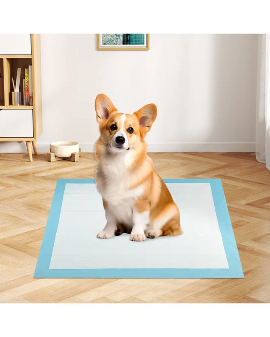 150 pieces 30 x 30 Inch Pet Wee Pee Piddle Pad - Light Blue - Dog Supplies