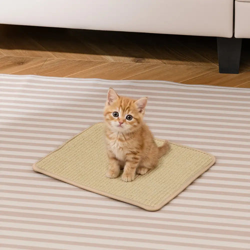 16 x 12 Inch 6-Piece Cat Scratcher Mat Set - Cat Trees Condos & Scratchers