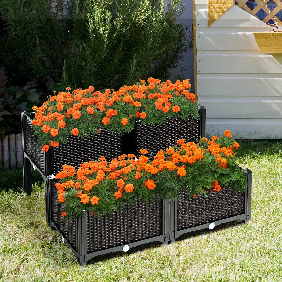 Lot de 4 jardinières surélevées pour fleurs, légumes et herbes aromatiques - Marron