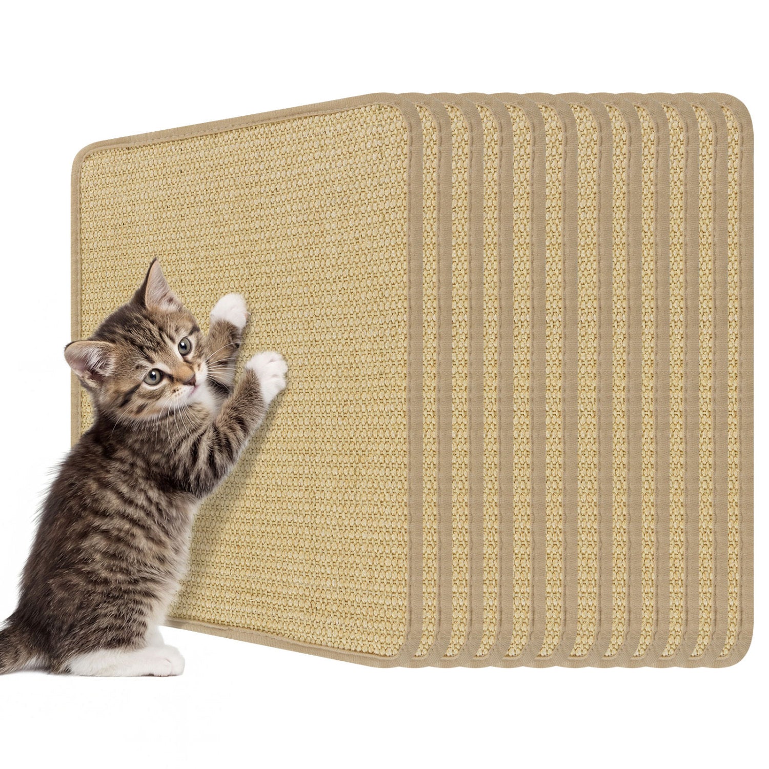 16 x 12 Inch 6-Piece Cat Scratcher Mat Set