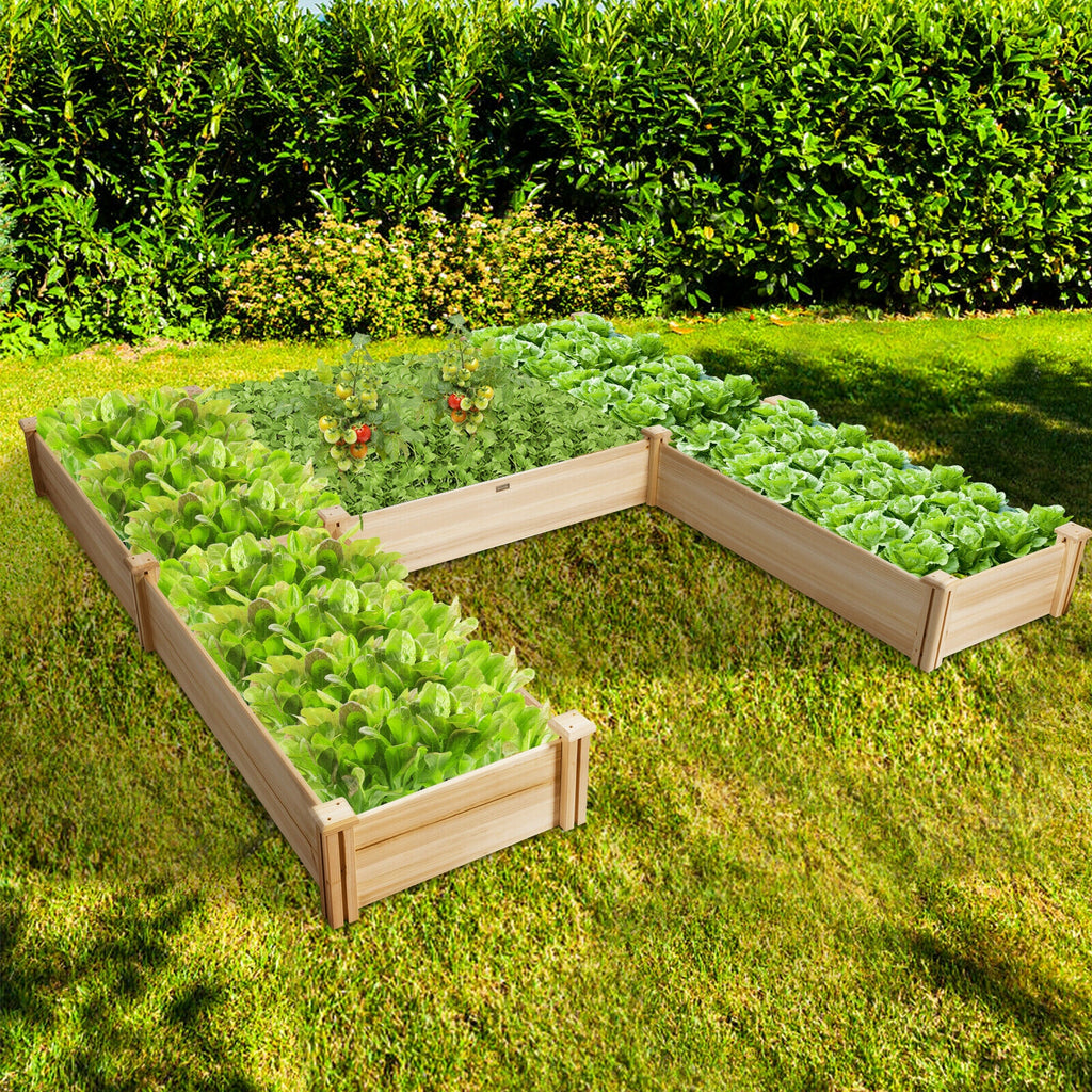 Carré potager en bois en forme de U pour jardin et terrasse