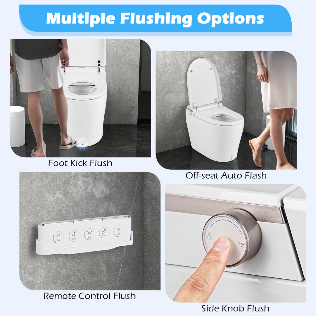 Elongated Bidet Toilet with Adjustable Heated Seat-White