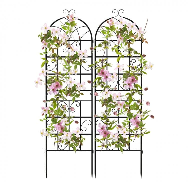 Supports de plantes