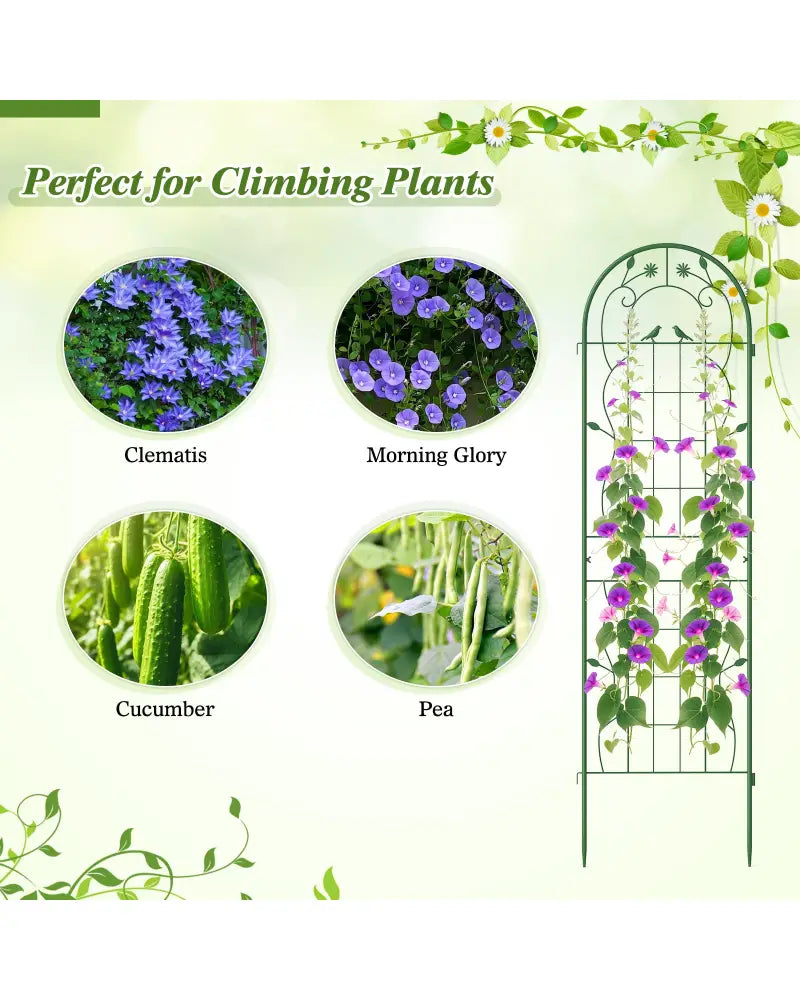 2 Pack 71 x 20 Inch Metal Garden Trellis Rustproof Plant Support for Climbing Plants-Green - Green - Plant Supports