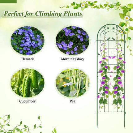 2 Pack 71 x 20 Inch Metal Garden Trellis Rustproof Plant Support for Climbing Plants-Green - Green - Plant Supports
