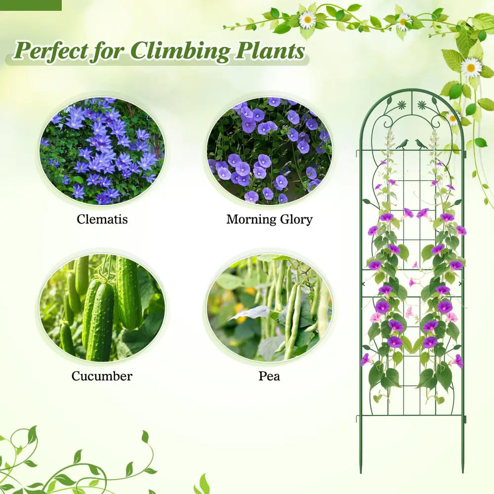 2 Pack 71 x 20 Inch Metal Garden Trellis Rustproof Plant Support for Climbing Plants-Green - Green - Plant Supports