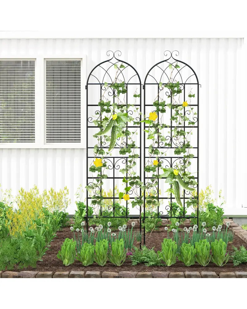 2 Pack 71’’ x 20’’ Metal Garden Trellis for Outdoor Climbing Plants - Black - Plant Supports