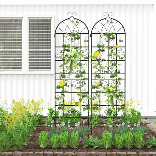 2 Pack 71’’ x 20’’ Metal Garden Trellis for Outdoor Climbing Plants - Black - Plant Supports