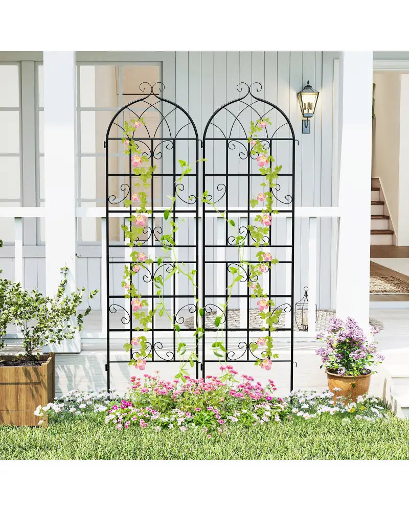 2 Pack 71’’ x 20’’ Metal Garden Trellis for Outdoor Climbing Plants - Black - Plant Supports