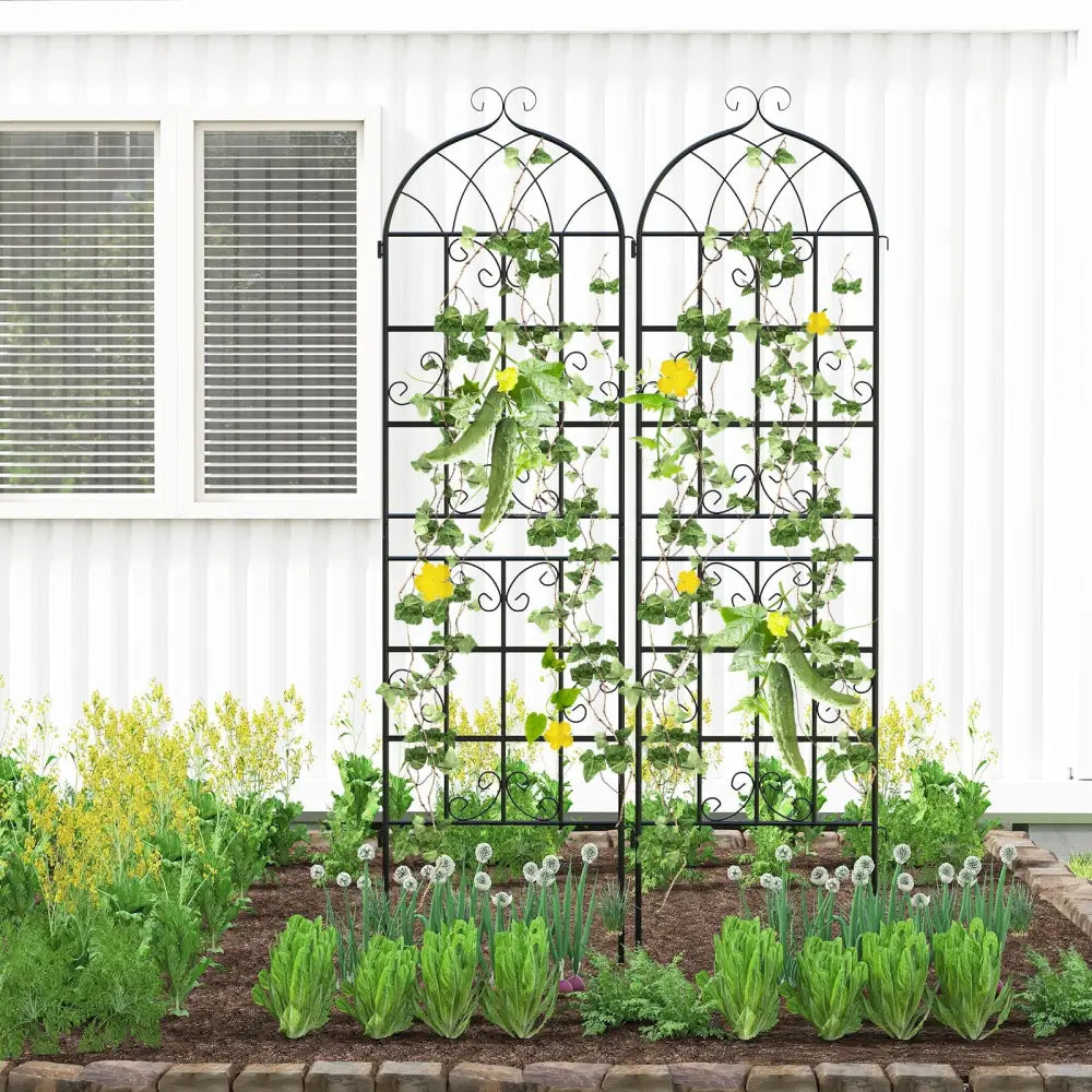 2 Pack 71’’ x 20’’ Metal Garden Trellis for Outdoor Climbing Plants - Black - Plant Supports
