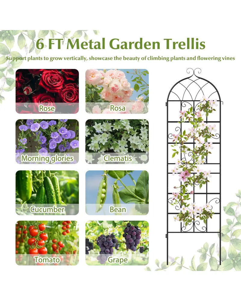 2 Pack 71’’ x 20’’ Metal Garden Trellis for Outdoor Climbing Plants - Black - Plant Supports