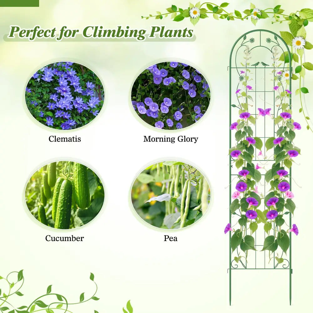 2 Pack 86.5 x 20 Inches Metal Garden Trellis for Climbing Plants-Green - Green - Plant Supports