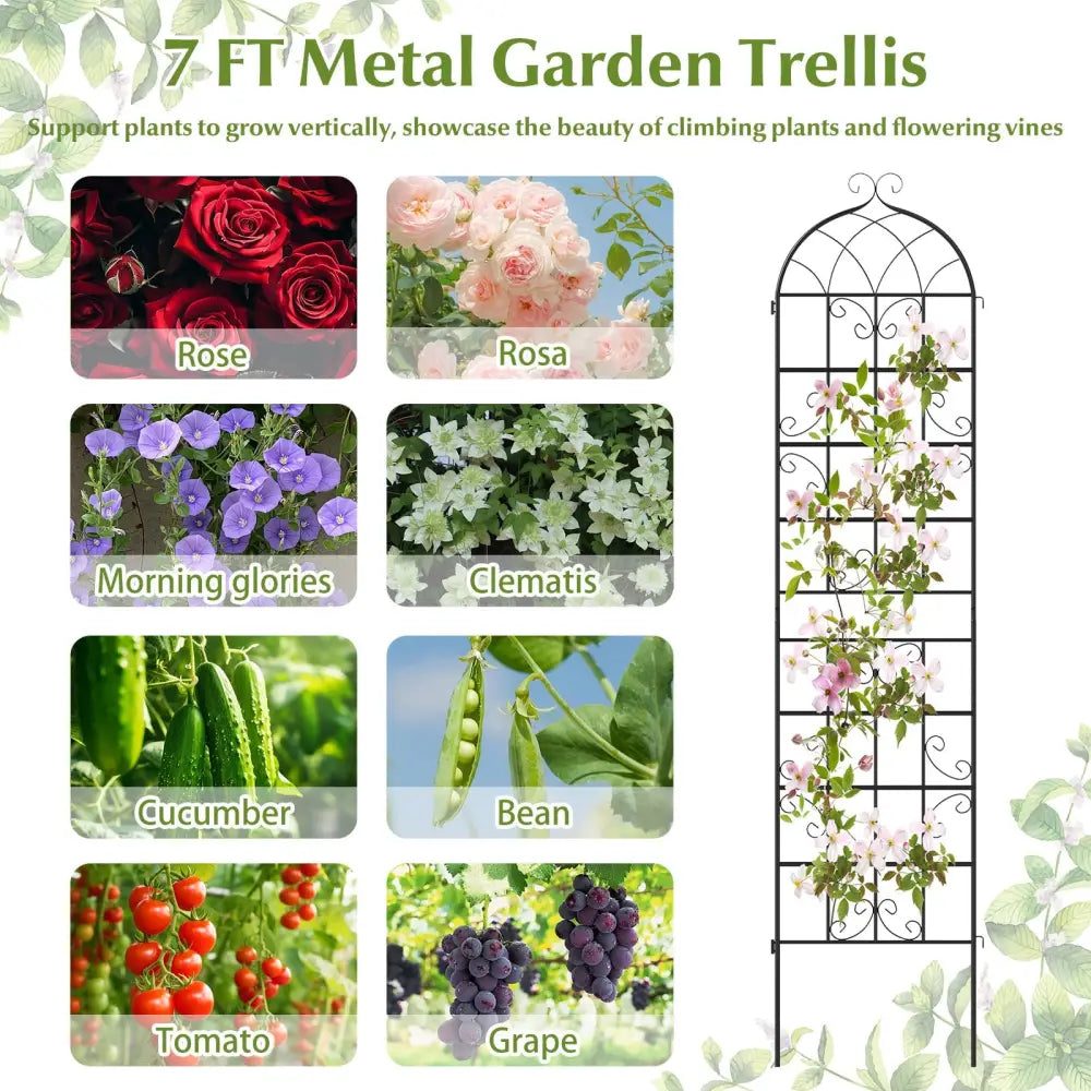 2 Pack 86’’ x 20’’ Metal Garden Trellis for Outdoor Climbing Plants - Plant Supports