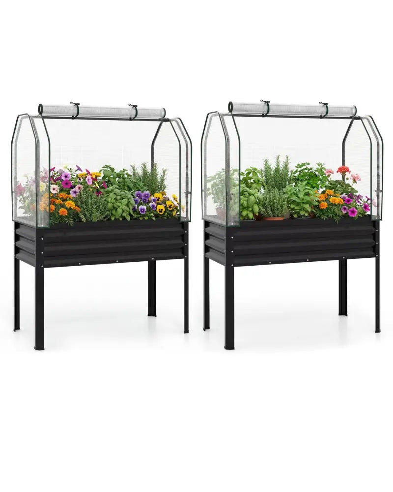 2 Pieces Galvanized Raised Garden Bed with Legs and Greenhouse Cover for Vegetable Flower-Black - Black - Raised Garden