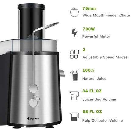 2 Speed Electric Juice Press for Fruit and Vegetable Costway