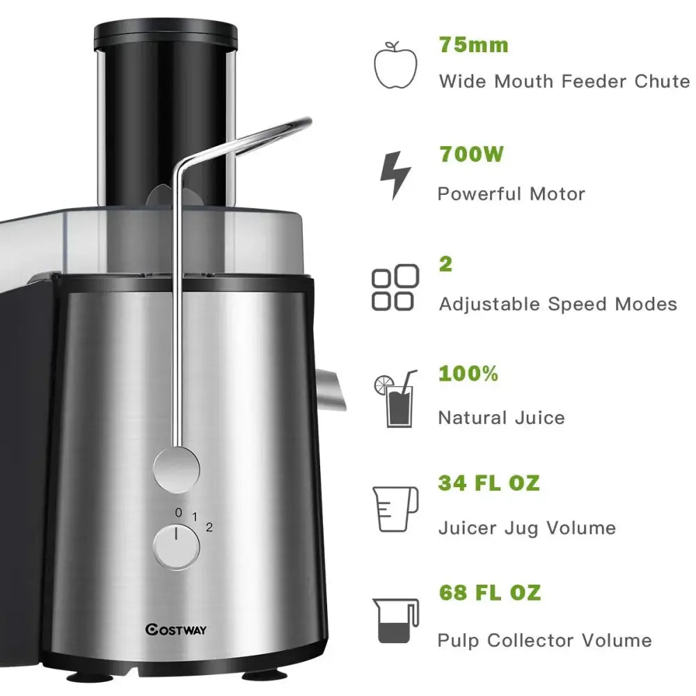 2 Speed Electric Juice Press for Fruit and Vegetable Costway
