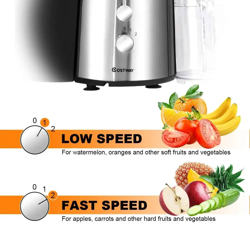 2 Speed Electric Juice Press for Fruit and Vegetable Costway