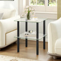 2-Tier Square End Table with Shelf and Clear Tempered Glass Top-Black - Black - End & Side Tables