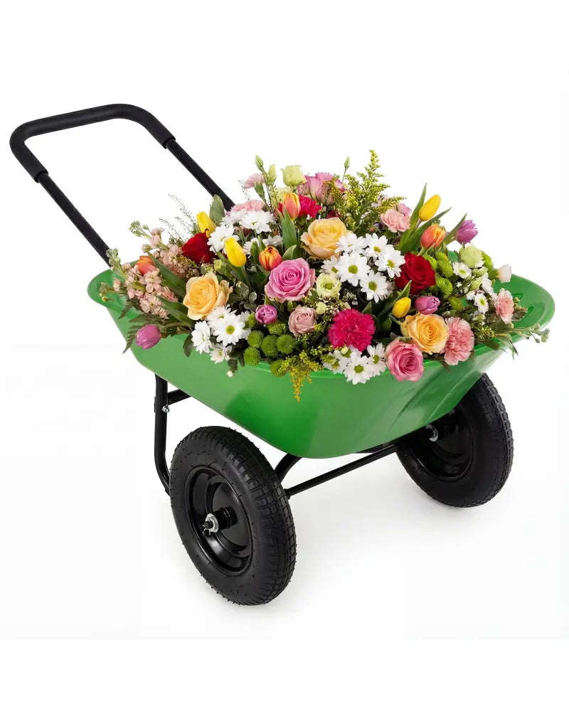 2 Tire Heavy-duty Dolly Utility Cart Wheelbarrow Garden Cart-Light Green - Light Green - Garden Carts