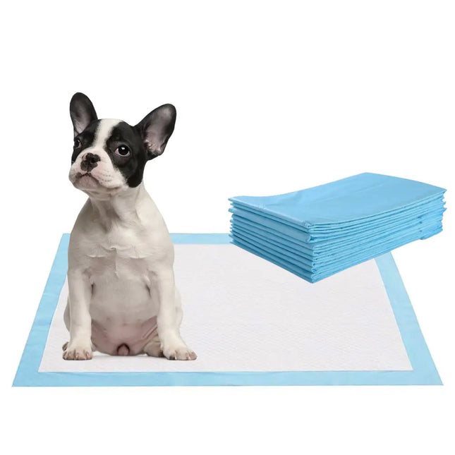 200 Pieces 24 x 24 Inch Pet Wee Pee Piddle Pad - Light Blue - Dog Supplies