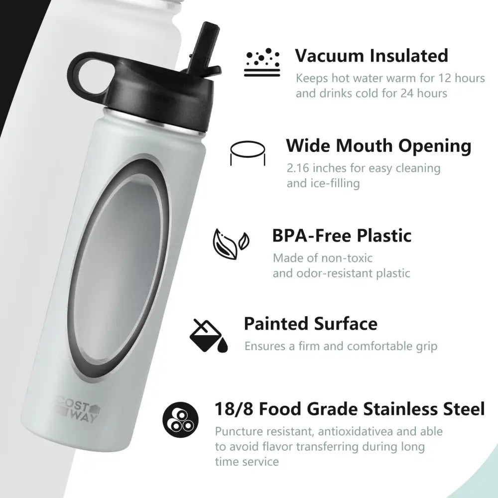 22 Oz Double-walled Insulated Stainless Steel Water Bottle with 2 Lids and Straw-Gray - Gray - Kitchen Utensils