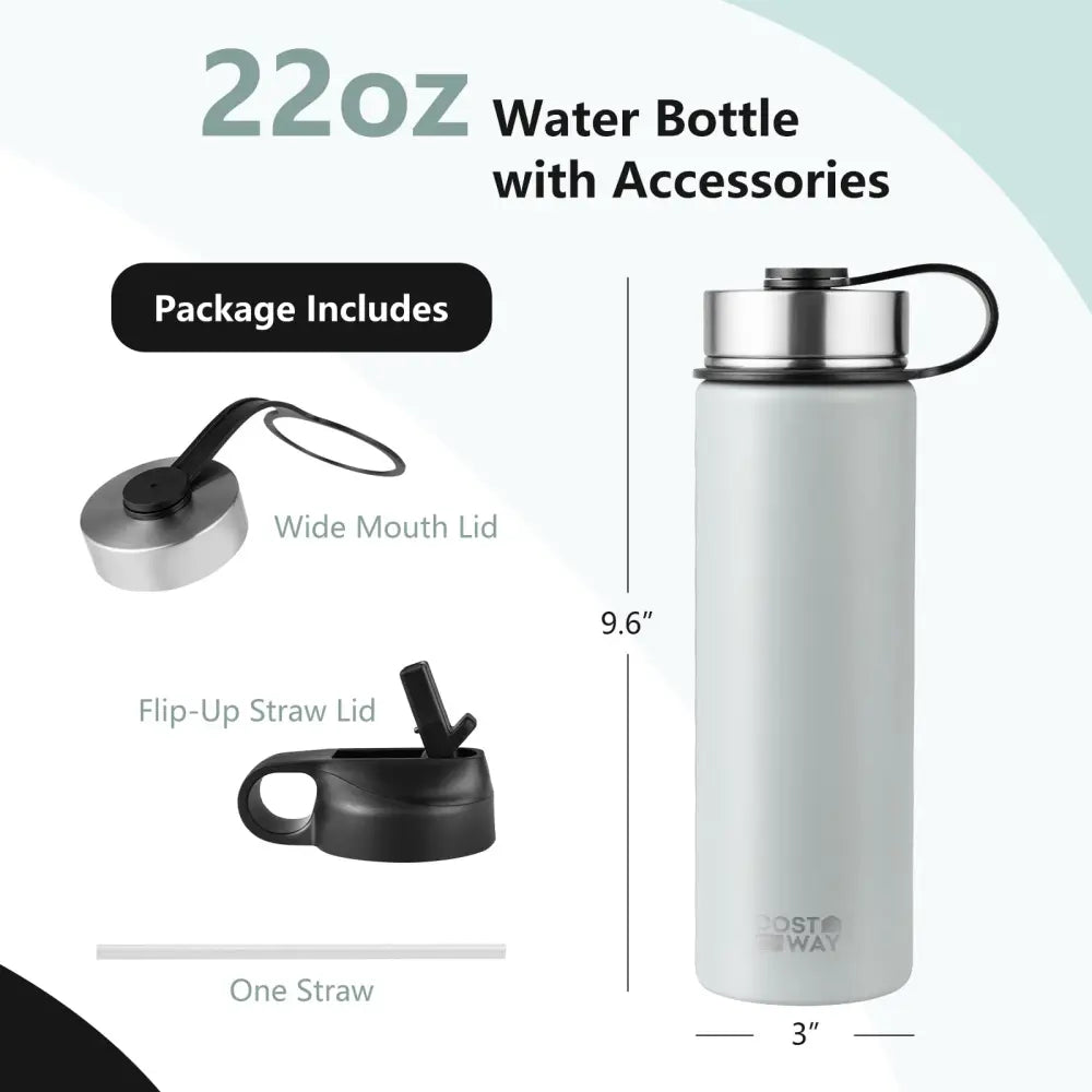 22 Oz Double-walled Insulated Stainless Steel Water Bottle with 2 Lids and Straw-Gray - Gray - Kitchen Utensils