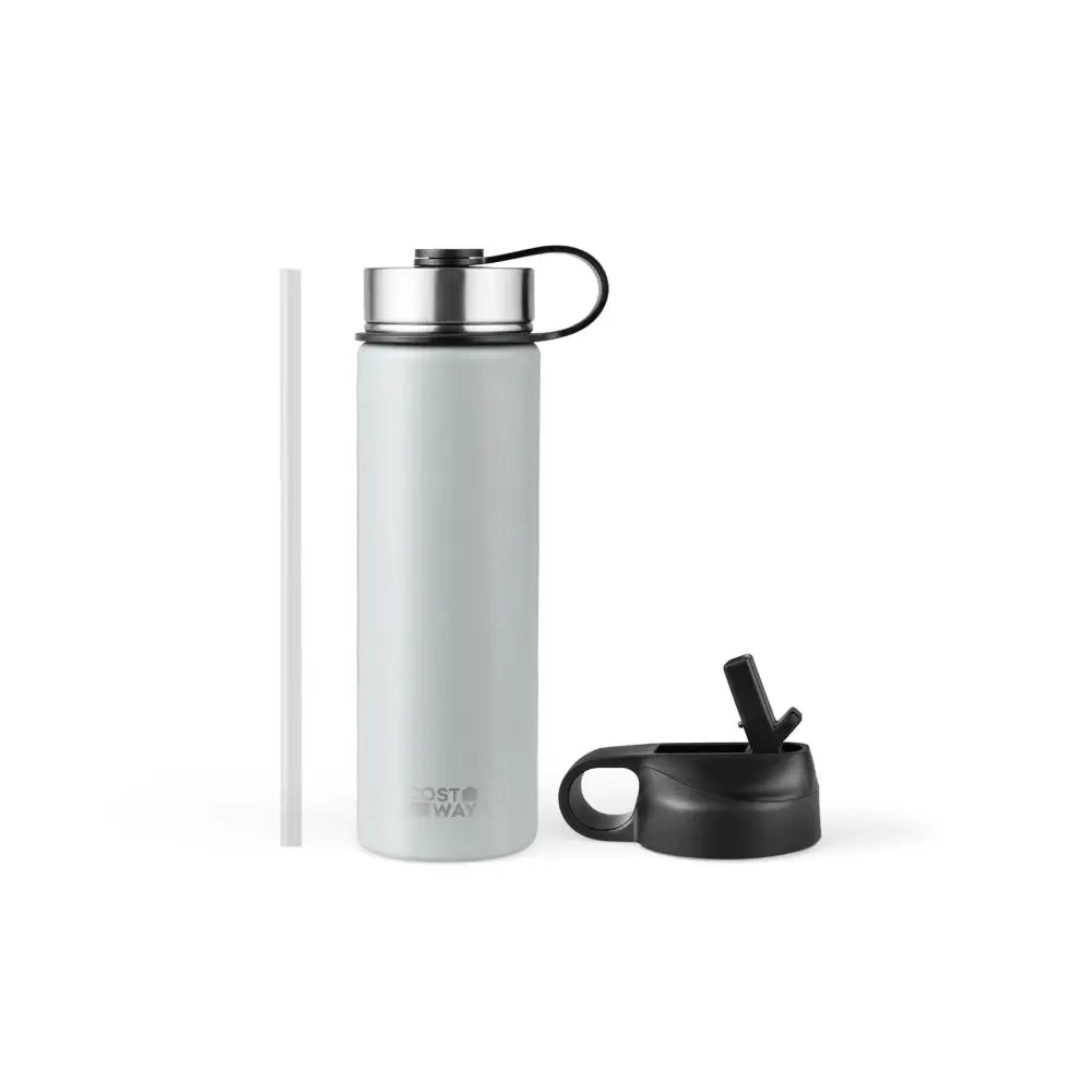 22 Oz Double-walled Insulated Stainless Steel Water Bottle with 2 Lids and Straw-Gray - Gray - Kitchen Utensils