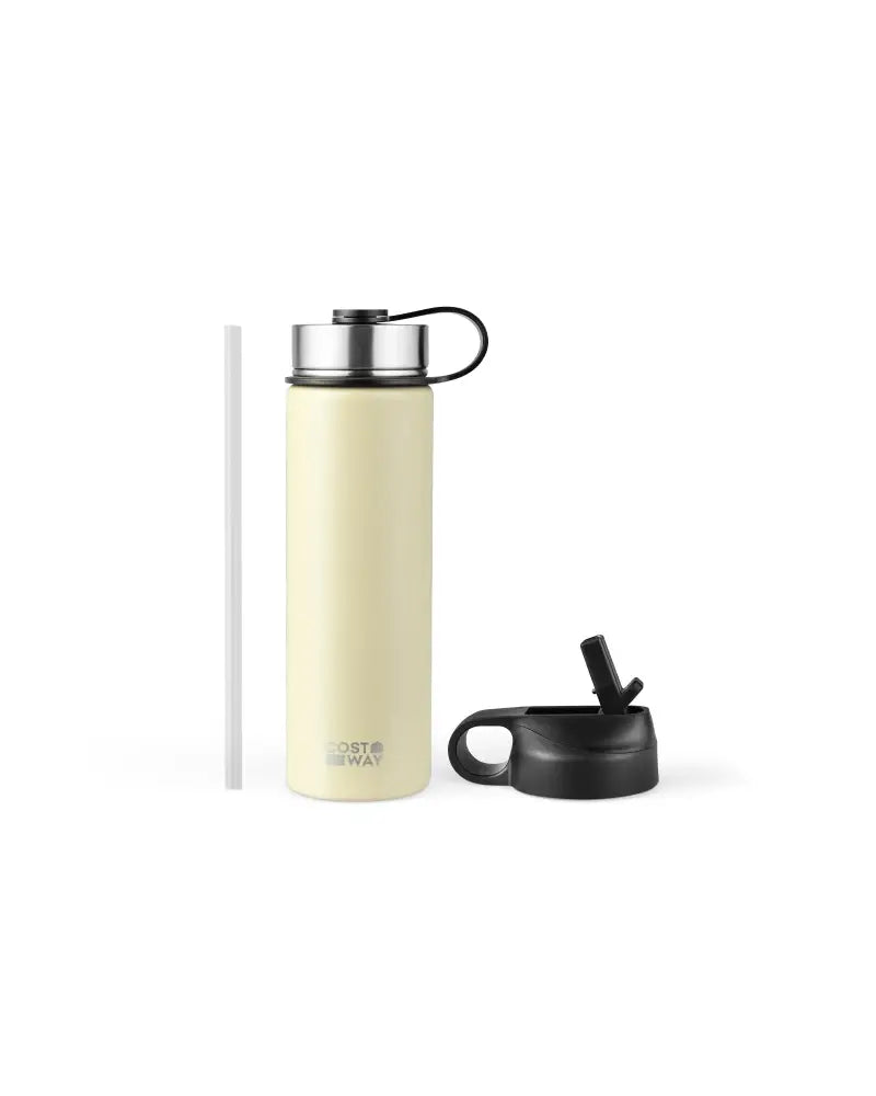 22 Oz Double-walled Insulated Stainless Steel Water Bottle with 2 Lids and Straw-Beige - Beige - Kitchen Utensils