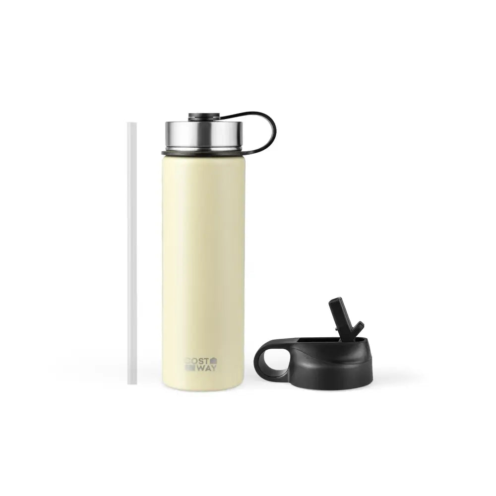 22 Oz Double-walled Insulated Stainless Steel Water Bottle with 2 Lids and Straw-Beige - Beige - Kitchen Utensils