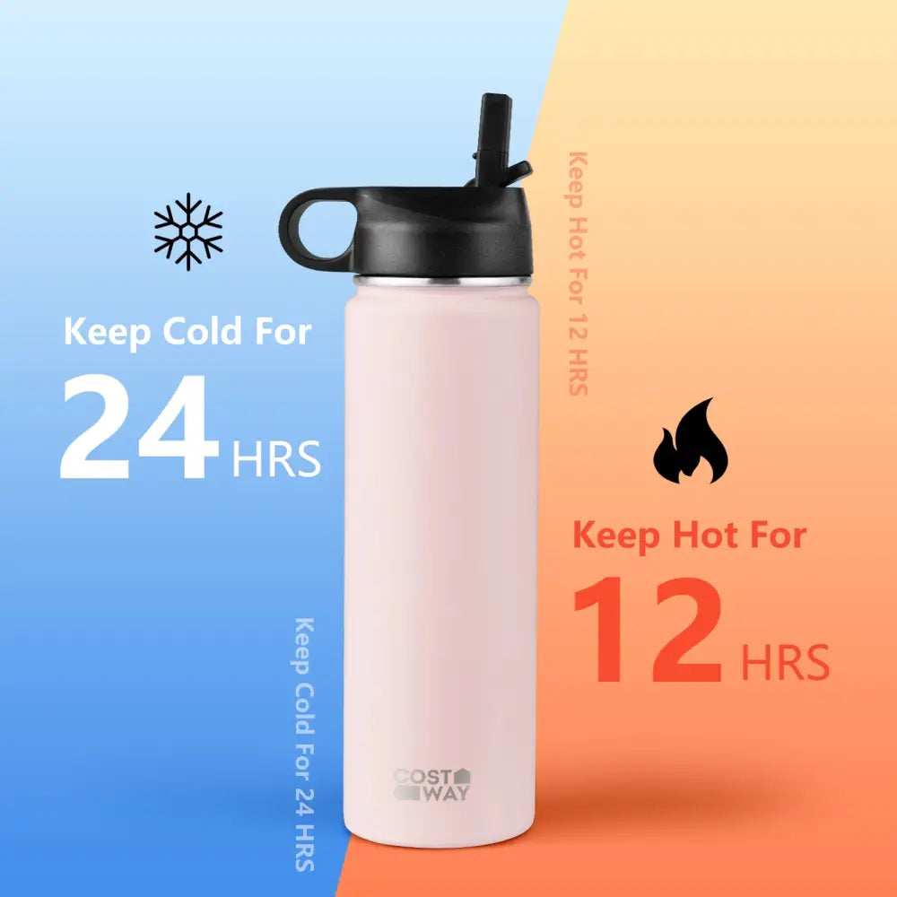 22 Oz Double-walled Insulated Stainless Steel Water Bottle with 2 Lids and Straw-Pink - Pink - Kitchen Utensils