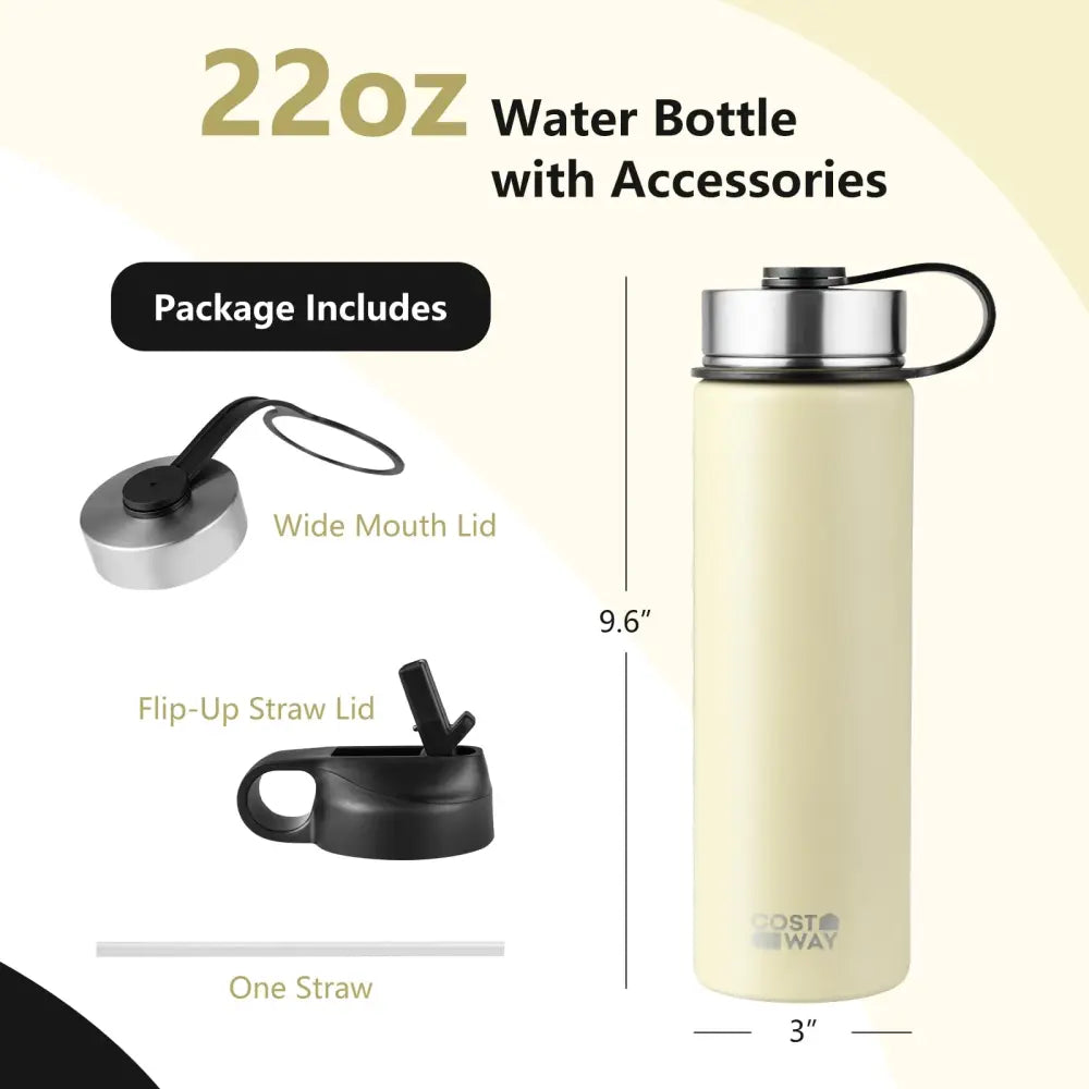 22 Oz Double-walled Insulated Stainless Steel Water Bottle with 2 Lids and Straw-Beige - Beige - Kitchen Utensils