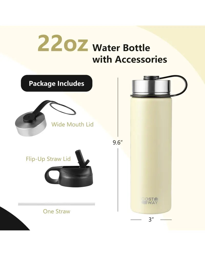 22 Oz Double-walled Insulated Stainless Steel Water Bottle with 2 Lids and Straw-Beige - Beige - Kitchen Utensils